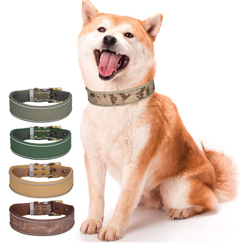 Pet Dog Collar Canvas
